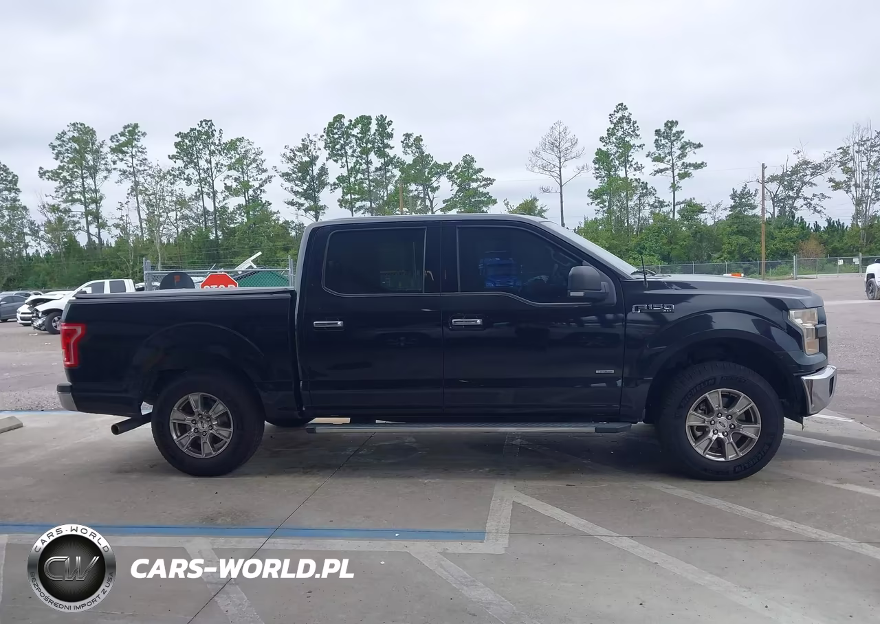 2016 Ford F-150 Xlt VIN:1FTEW1CPXGKF30073 - 13