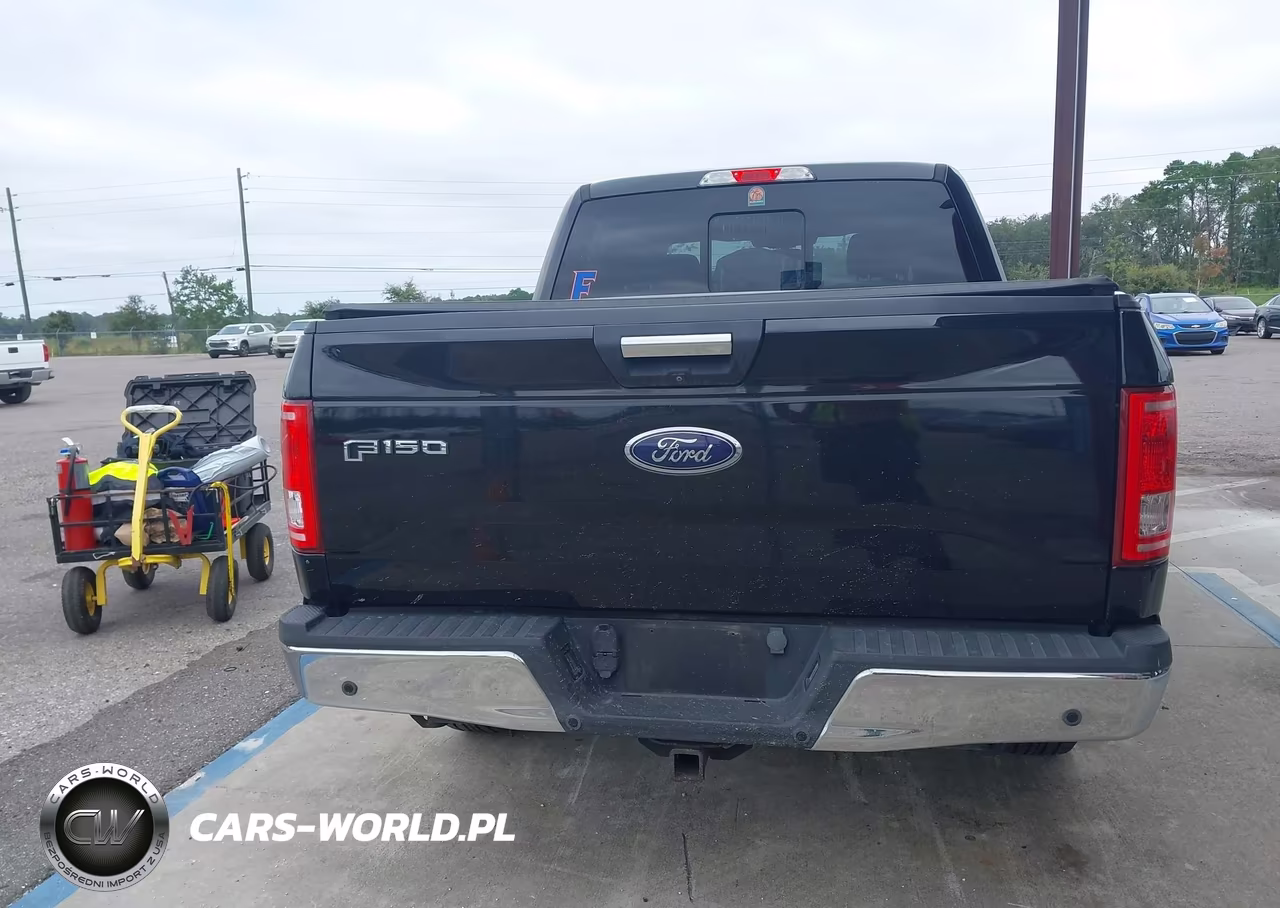 2016 Ford F-150 Xlt VIN:1FTEW1CPXGKF30073 - 16