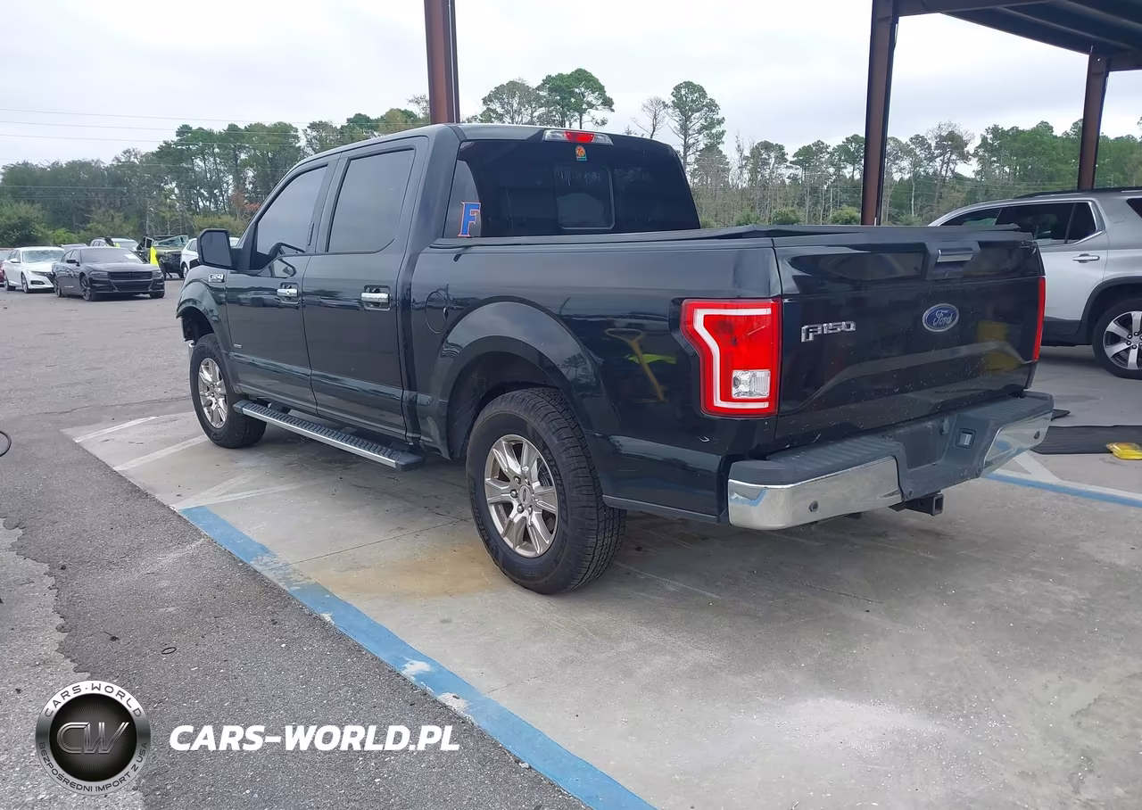 2016 Ford F-150 Xlt VIN:1FTEW1CPXGKF30073 - 3