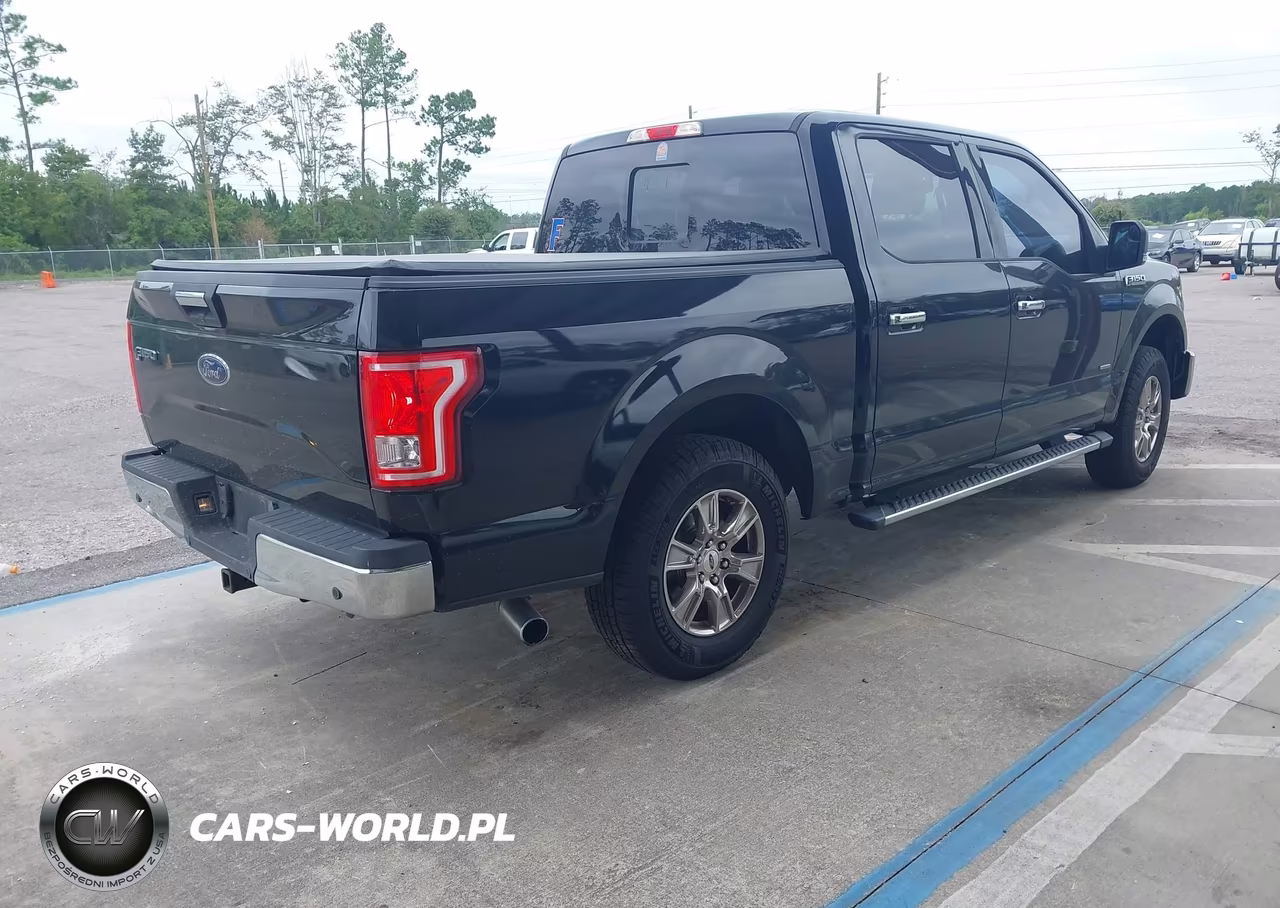 2016 Ford F-150 Xlt VIN:1FTEW1CPXGKF30073 - 4