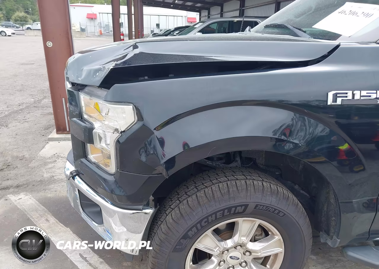 2016 Ford F-150 Xlt VIN:1FTEW1CPXGKF30073 - 6