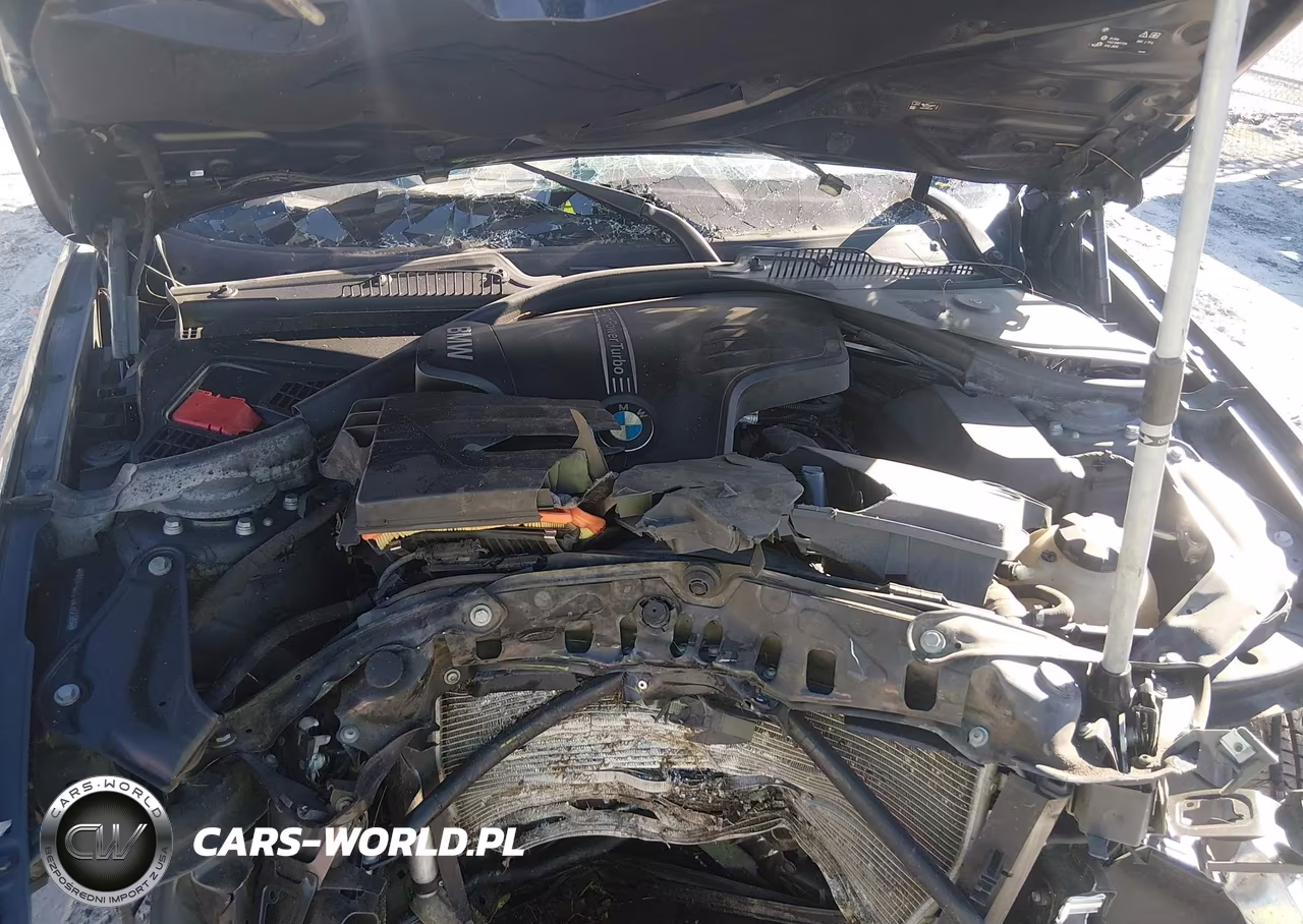 2016 BMW 228I VIN:WBA1K9C51GV322389 - 10