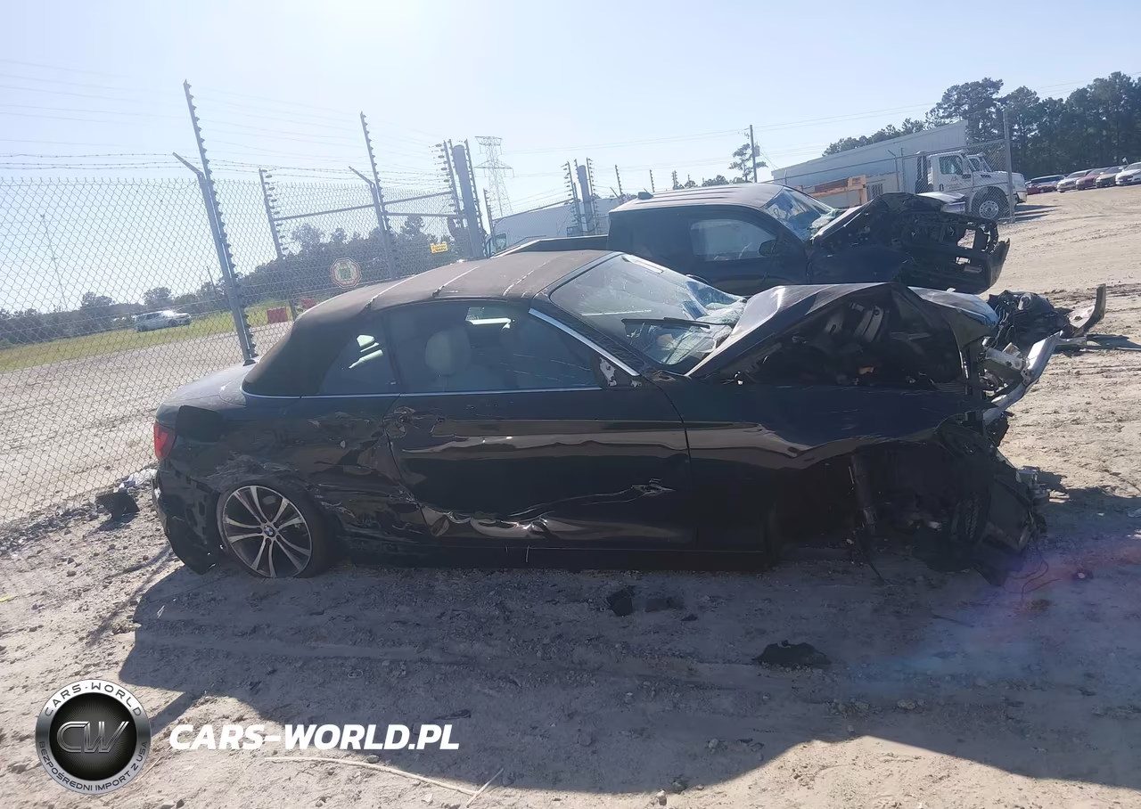 2016 BMW 228I VIN:WBA1K9C51GV322389 - 13