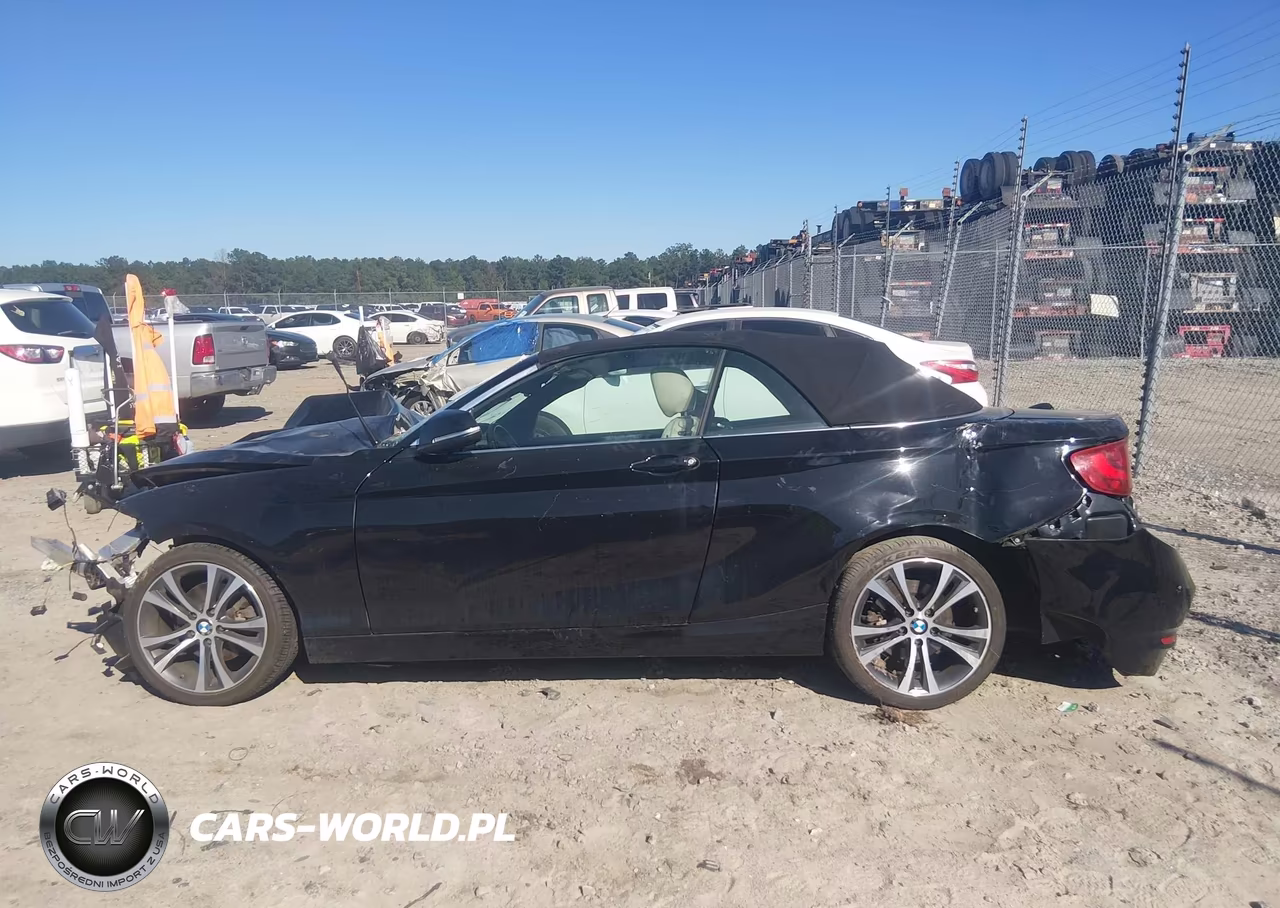 2016 BMW 228I VIN:WBA1K9C51GV322389 - 14