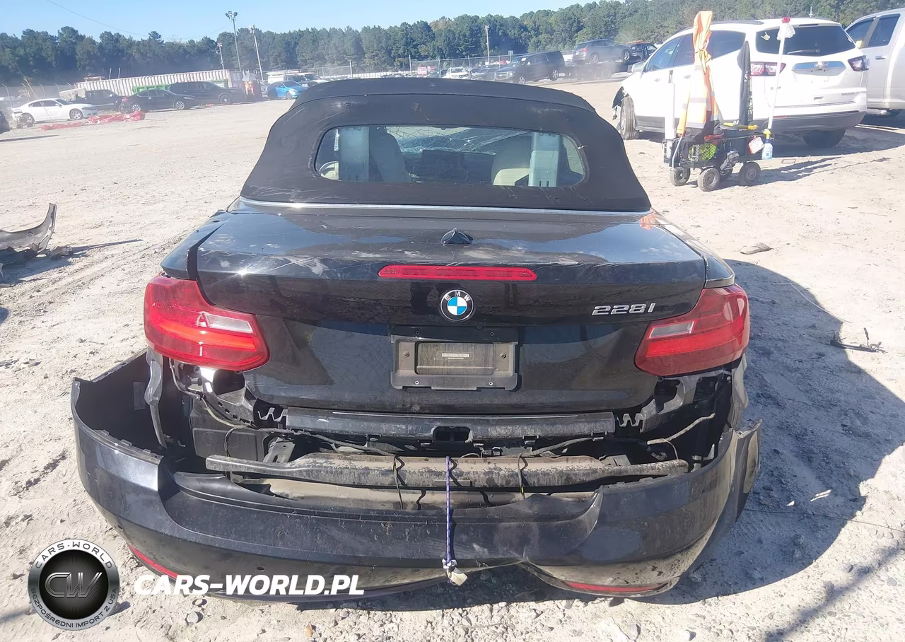 2016 BMW 228I VIN:WBA1K9C51GV322389 - 16