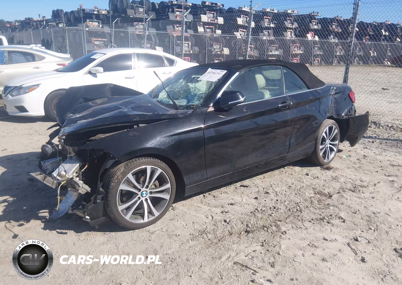 2016 BMW 228I VIN:WBA1K9C51GV322389 - 2
