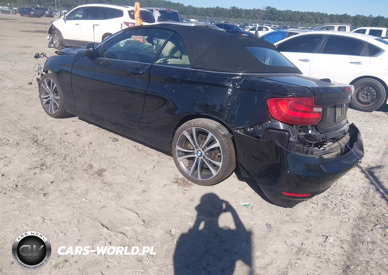 2016 BMW 228I VIN:WBA1K9C51GV322389 - 3