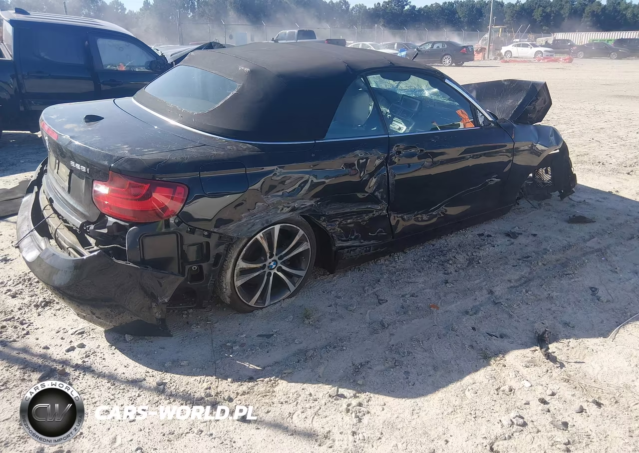 2016 BMW 228I VIN:WBA1K9C51GV322389 - 4