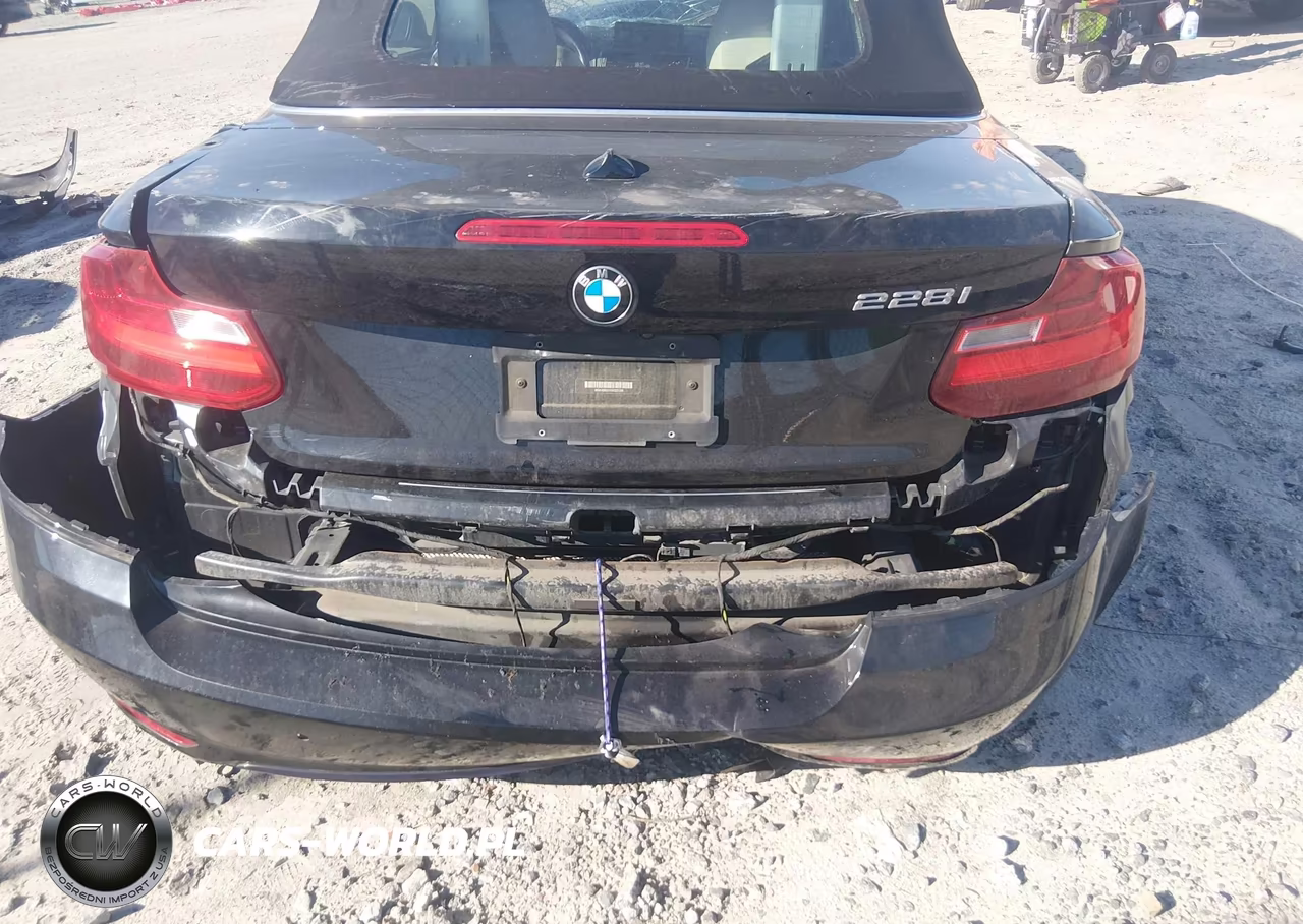 2016 BMW 228I VIN:WBA1K9C51GV322389 - 6