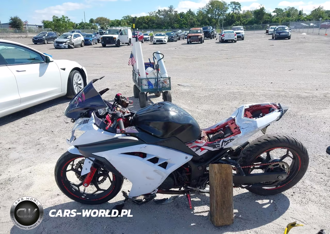2014 Kawasaki Ex300 B VIN:JKAEX8B1XEDA06181 - 13