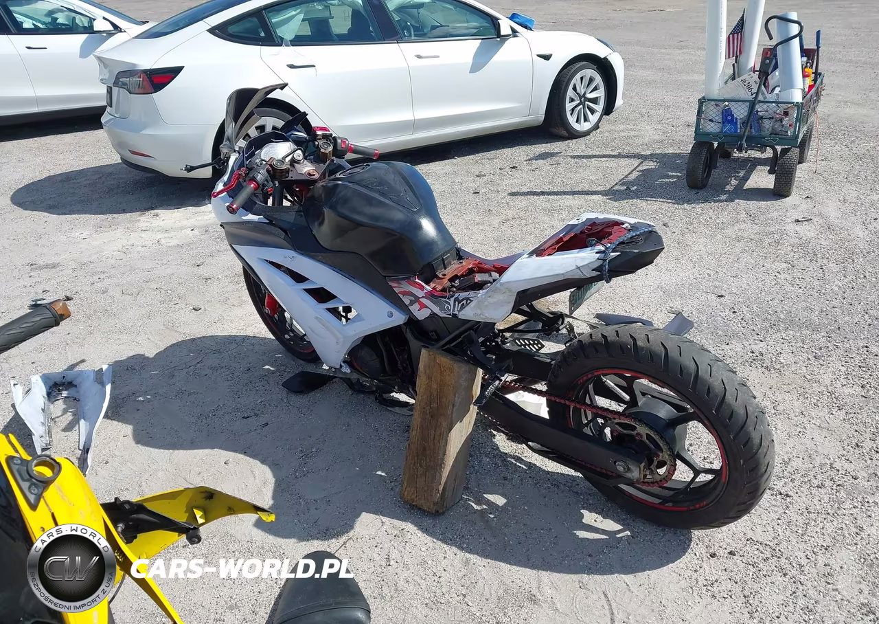 2014 Kawasaki Ex300 B VIN:JKAEX8B1XEDA06181 - 3