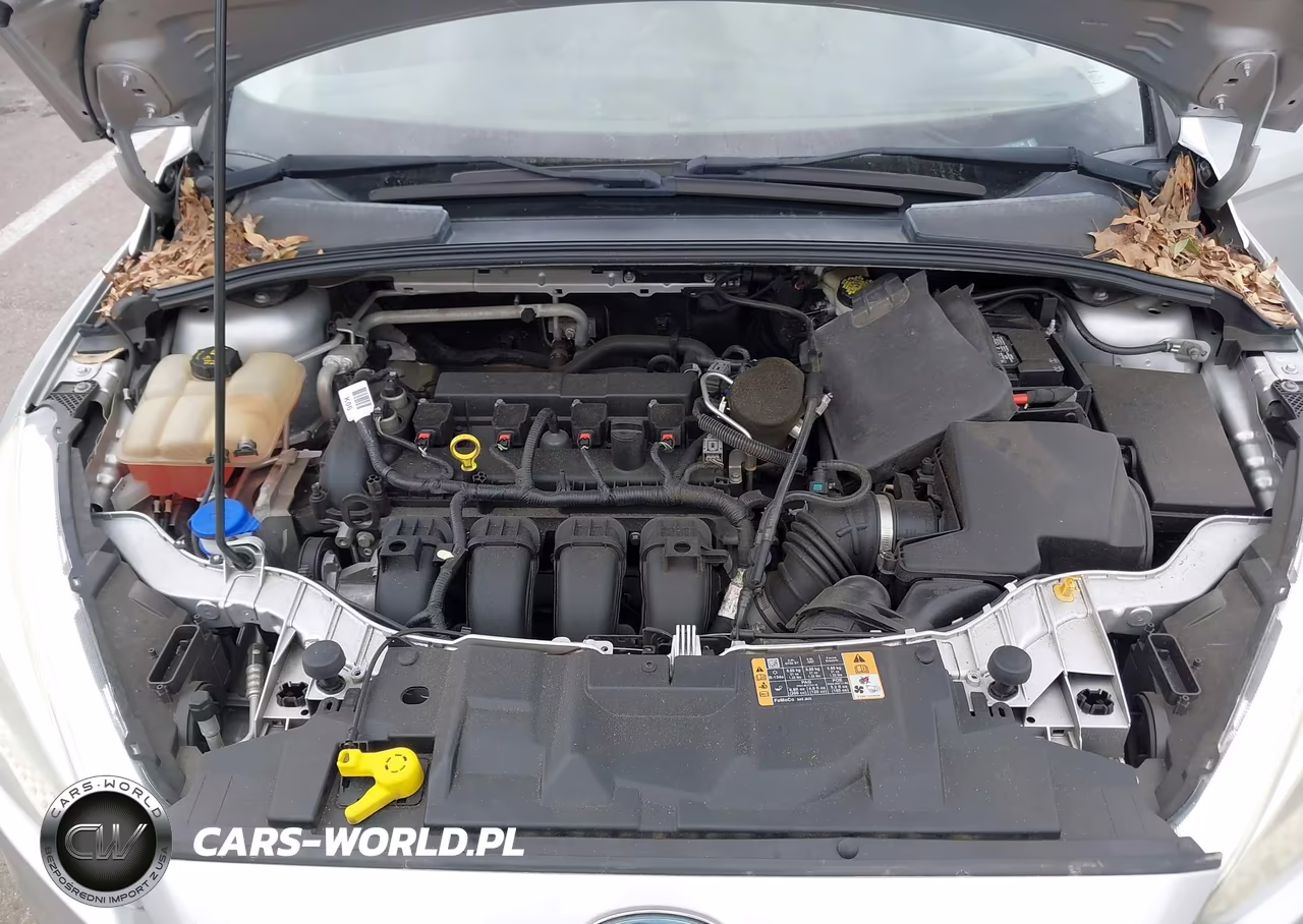 2015 Ford Focus Se VIN:1FADP3K23FL223756 - 10