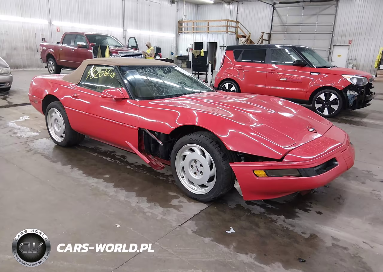 1992 Chevrolet Corvette VIN:1G1YY33P1N5100083 - 1