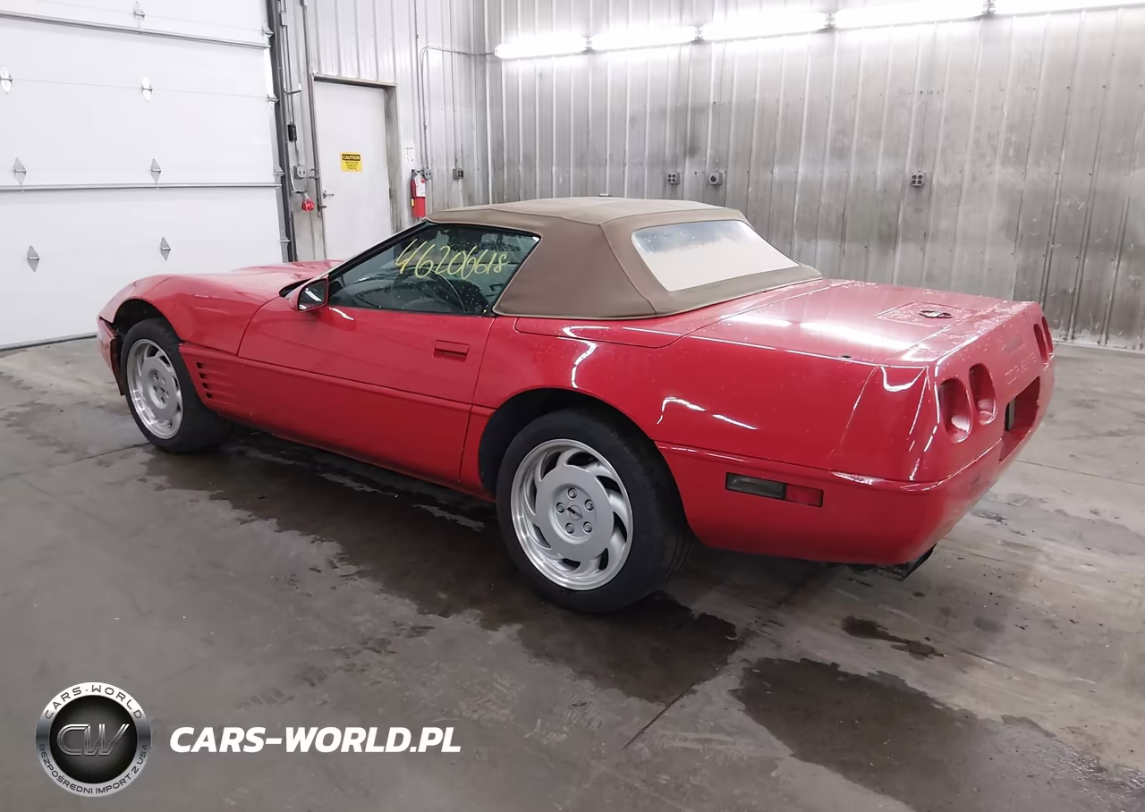 1992 Chevrolet Corvette VIN:1G1YY33P1N5100083 - 3