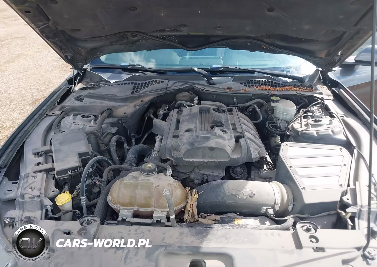 2015 Ford Mustang Ecoboost VIN:1FA6P8TH8F5336499 - 10