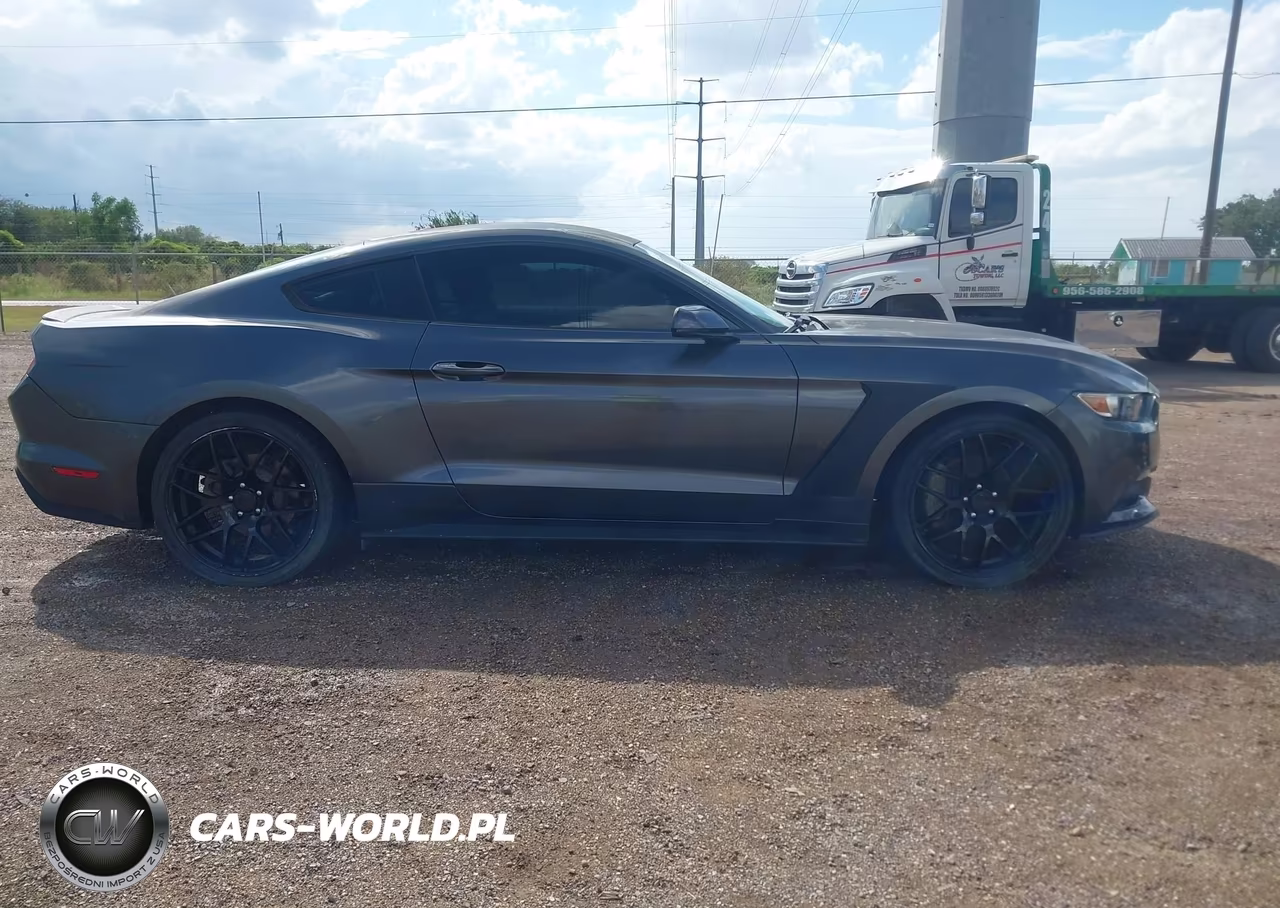 2015 Ford Mustang Ecoboost VIN:1FA6P8TH8F5336499 - 13