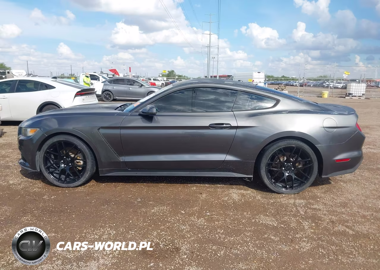 2015 Ford Mustang Ecoboost VIN:1FA6P8TH8F5336499 - 14
