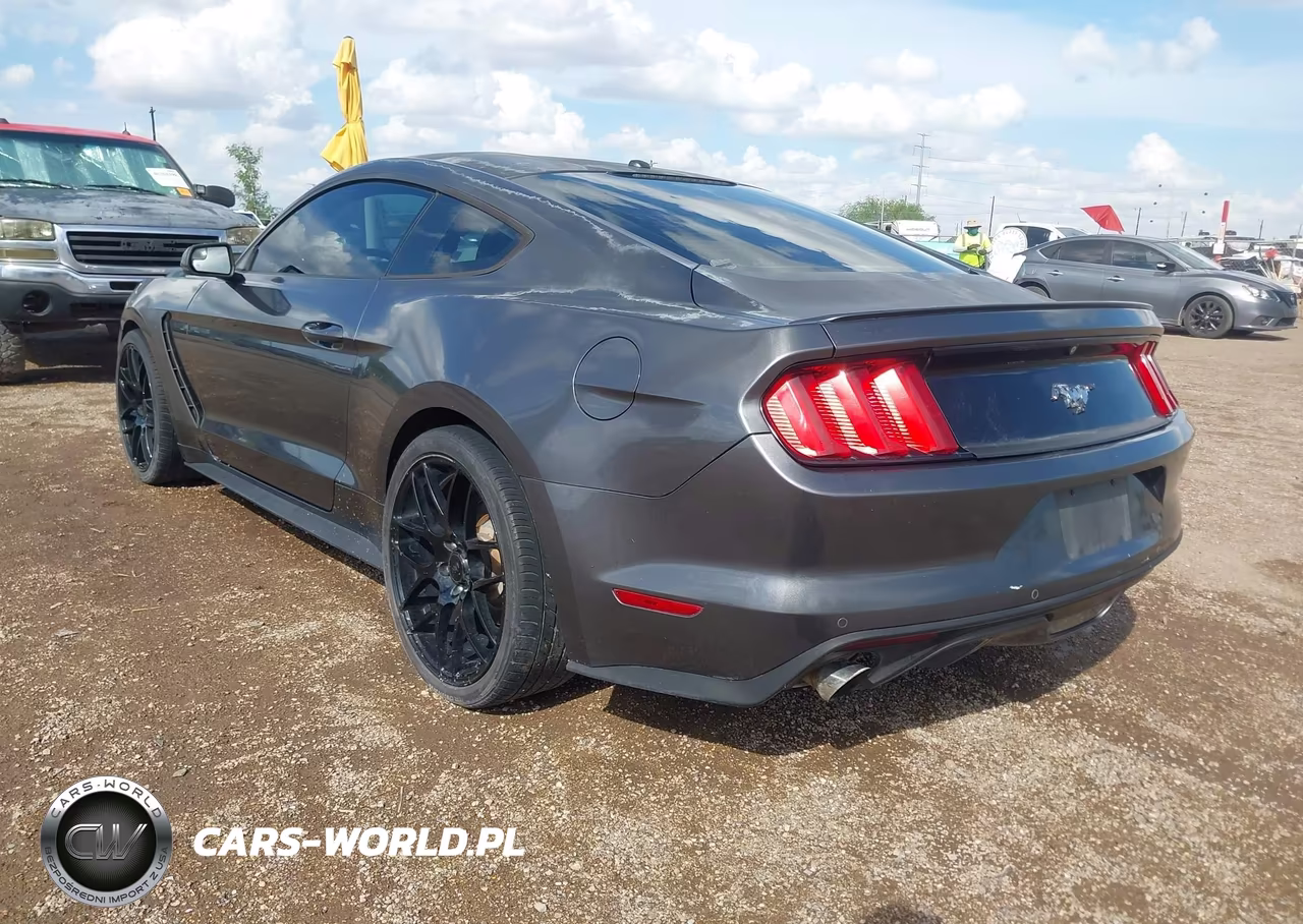 2015 Ford Mustang Ecoboost VIN:1FA6P8TH8F5336499 - 3