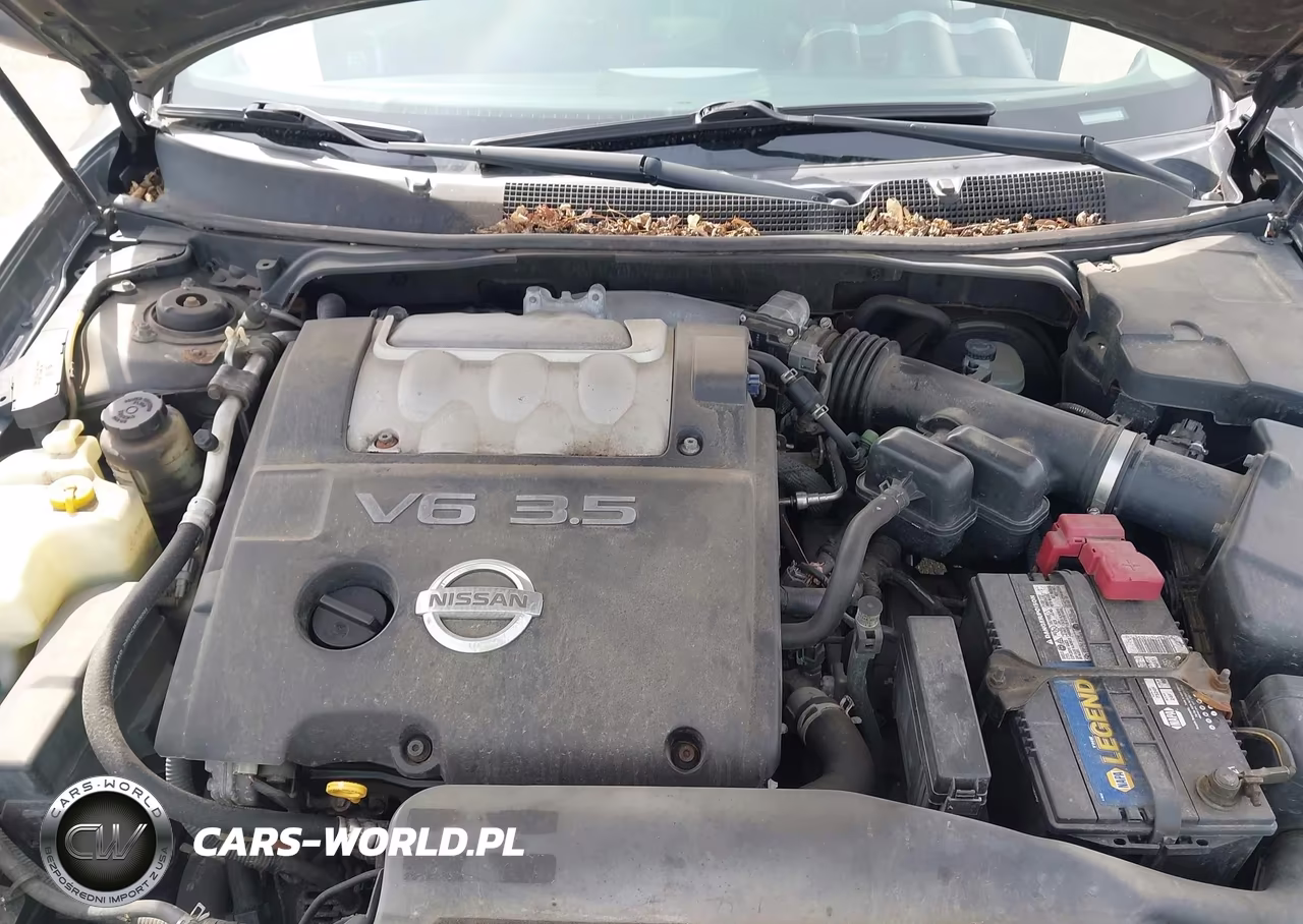 2006 Nissan Maxima 3.5 Se VIN:1N4BA41E06C817490 - 10