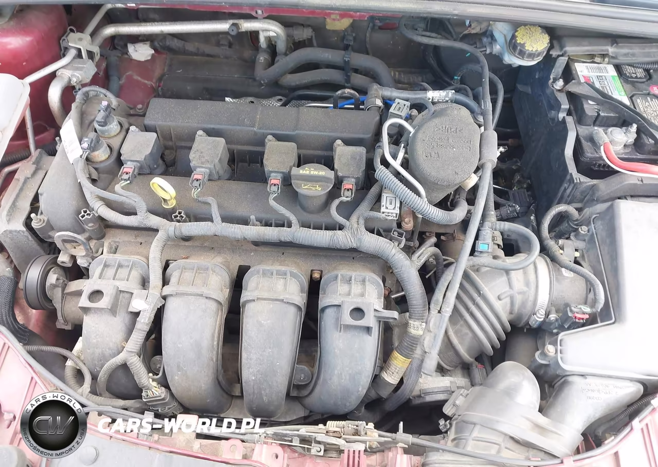 2013 Ford Focus Se VIN:1FADP3K22DL124049 - 10