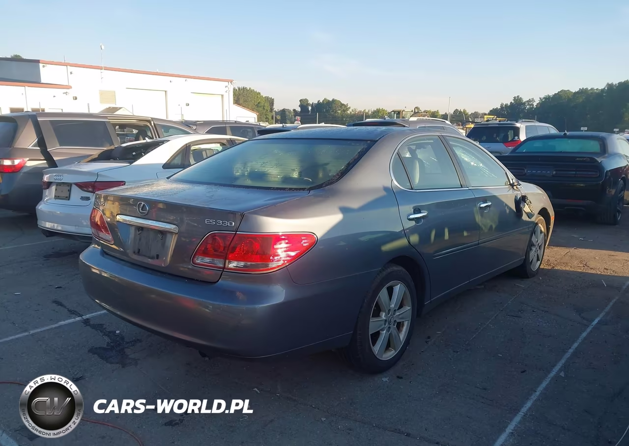 2005 Lexus Es 330 VIN:JTHBA30GX55098371 - 4