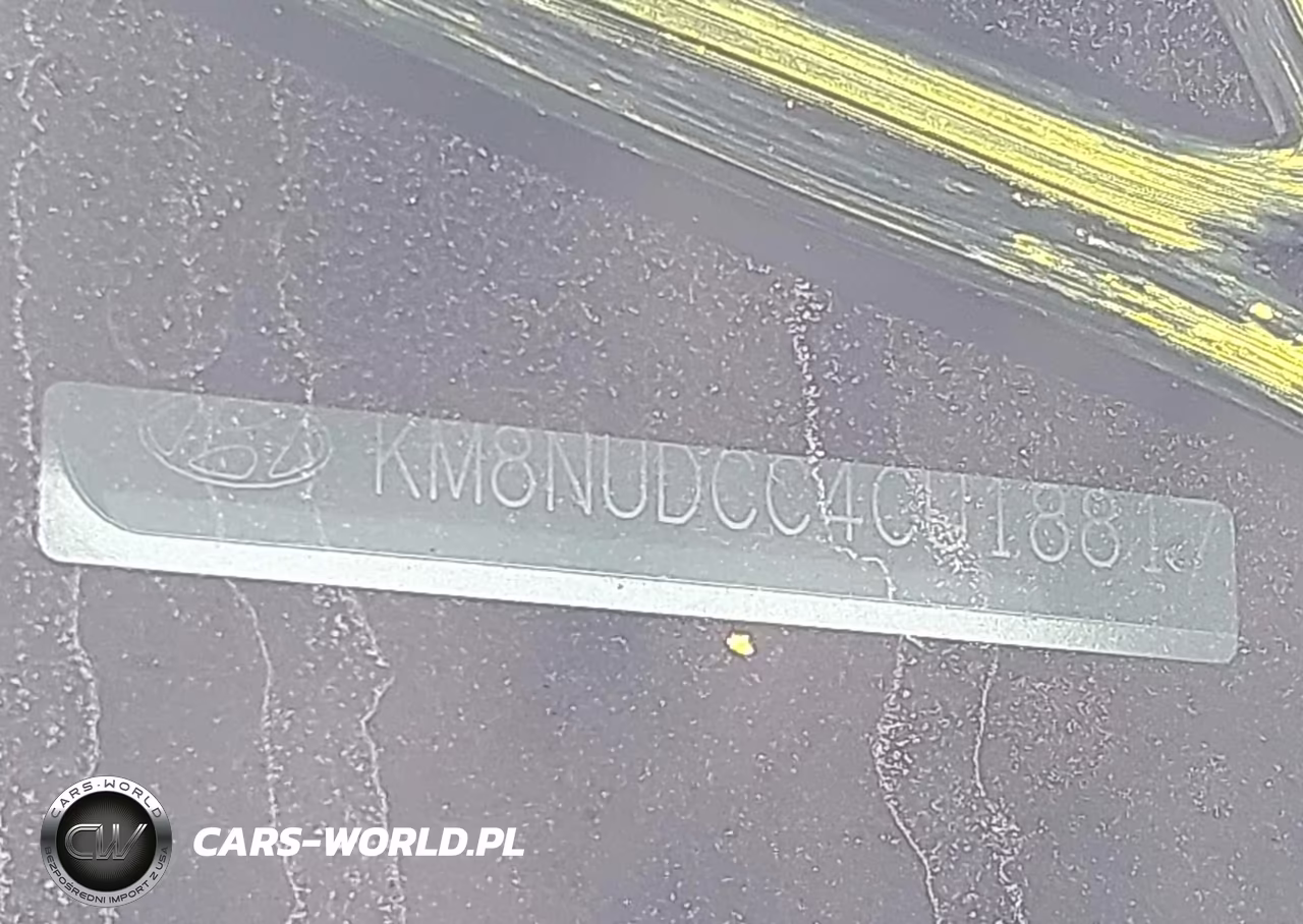 2012 Hyundai Veracruz Limited VIN:KM8NUDCC4CU188179 - 12