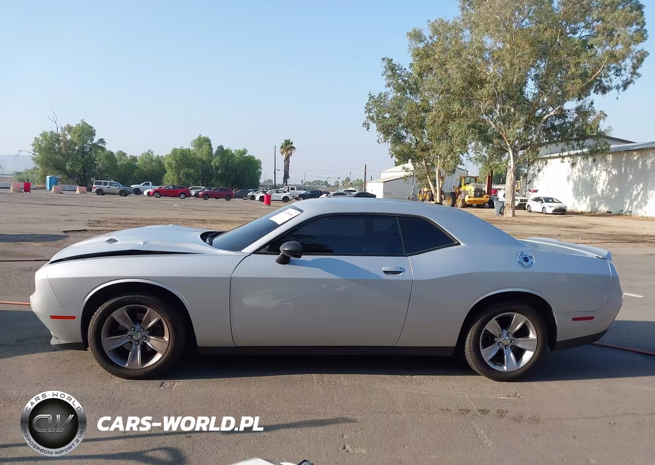 2020 Dodge Challenger Sxt VIN:2C3CDZAG6LH159496 - 14