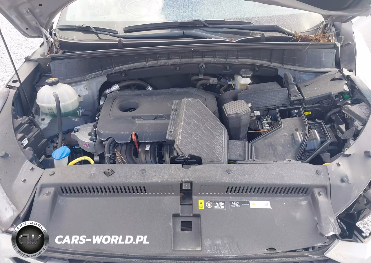 2020 Hyundai Tucson Ultimate VIN:KM8J33AL3LU196045 - 10