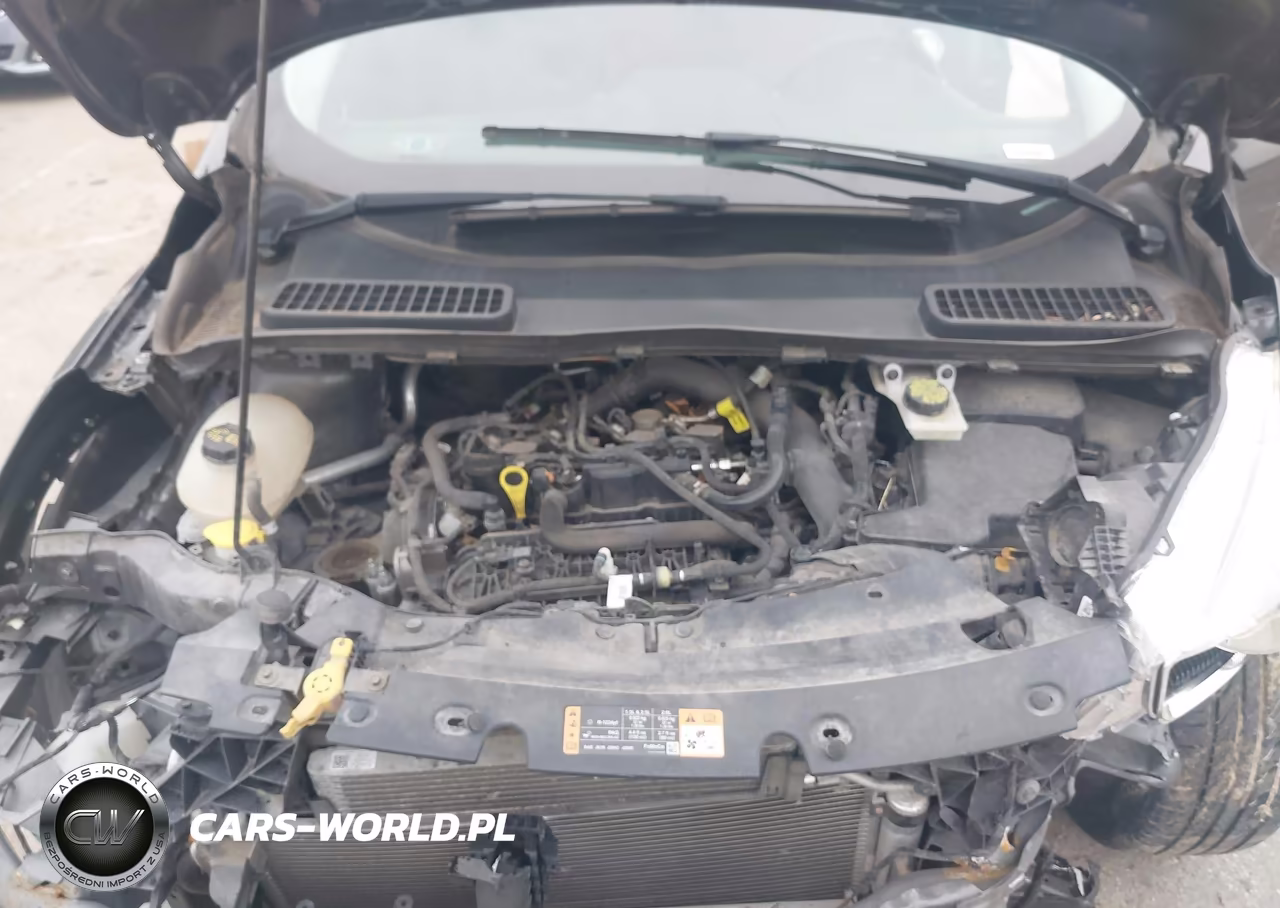 2019 Ford Escape Se VIN:1FMCU0GD6KUA34798 - 10
