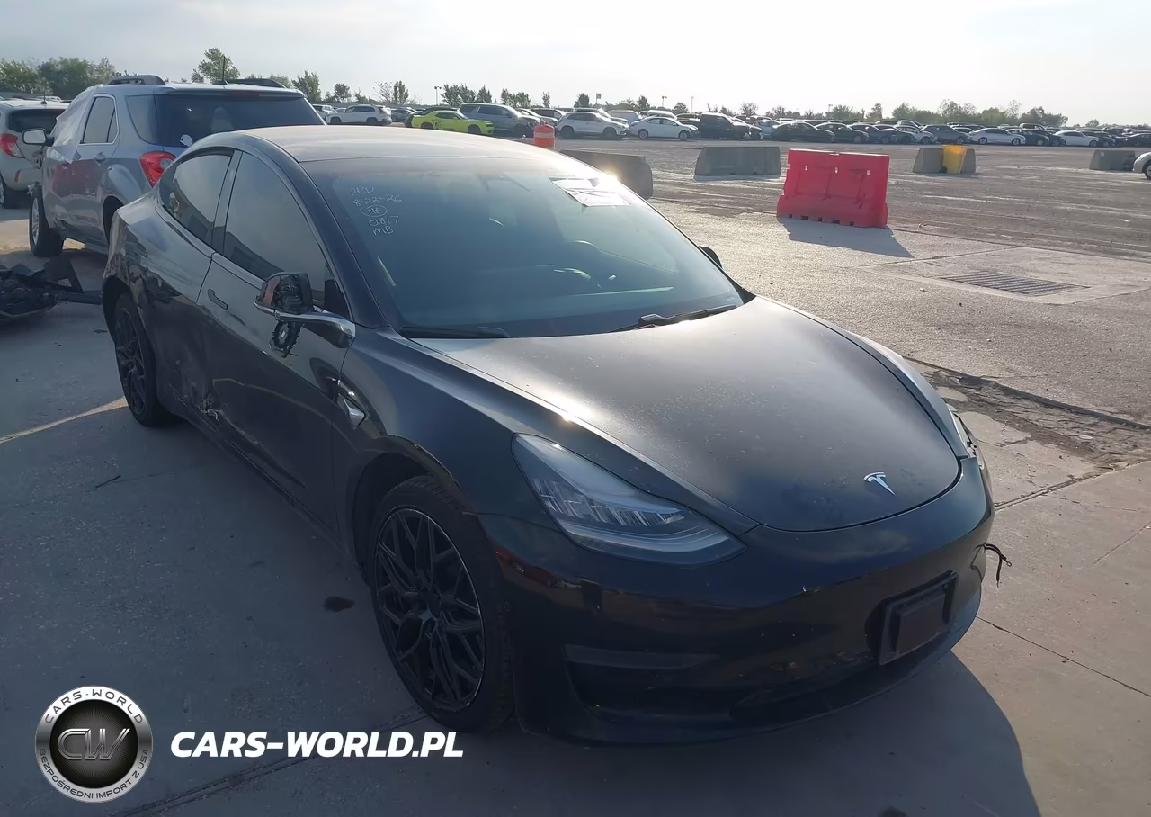 2020 Tesla Model 3 Standard Range Plus Rear-Wheel Drive-Standard Range Rear-Wheel Drive VIN:5YJ3E1EAXLF590817 - 1