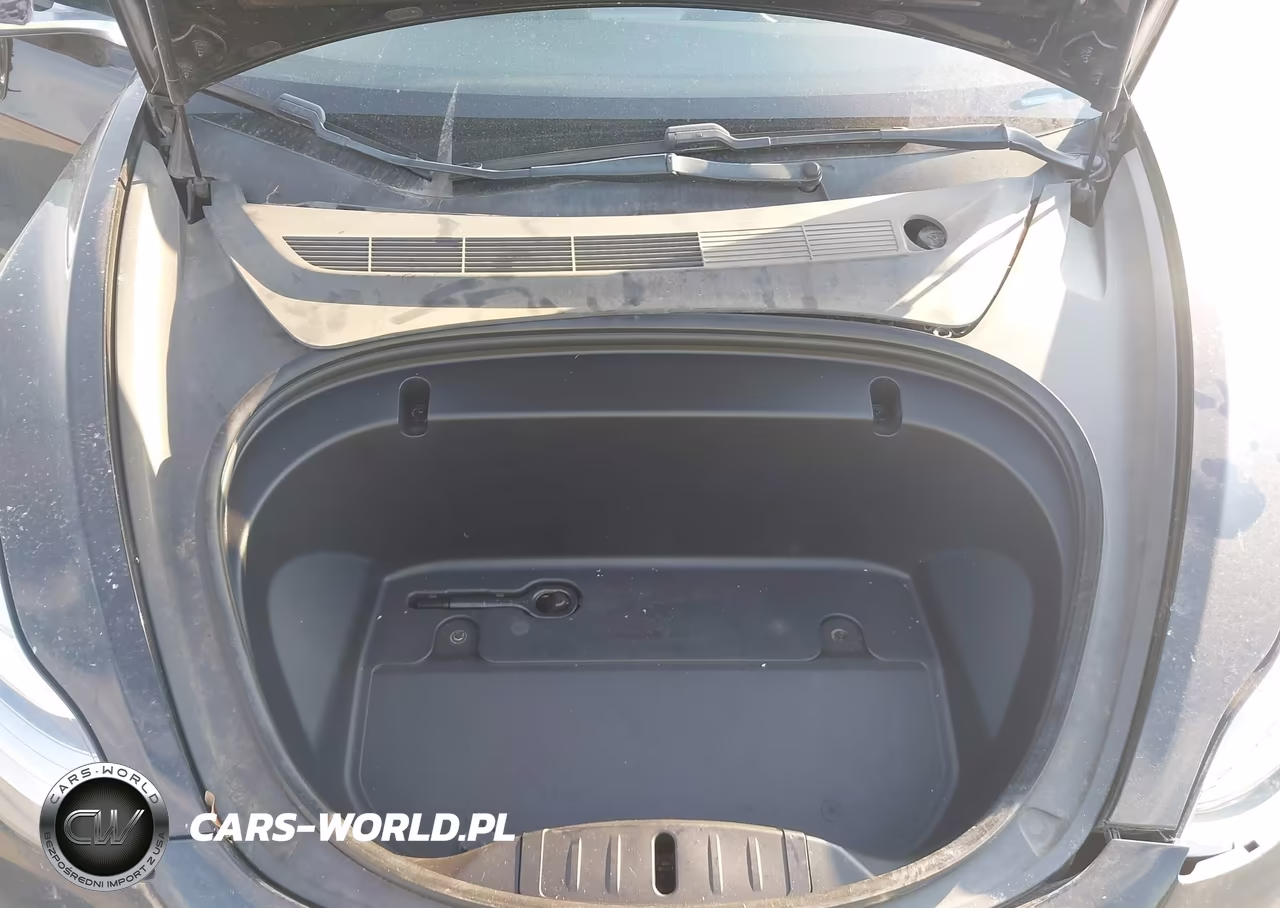2020 Tesla Model 3 Standard Range Plus Rear-Wheel Drive-Standard Range Rear-Wheel Drive VIN:5YJ3E1EAXLF590817 - 10