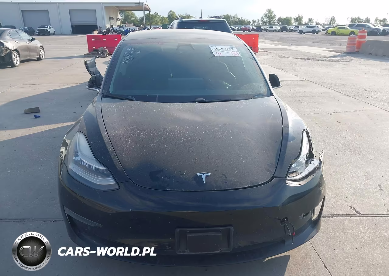 2020 Tesla Model 3 Standard Range Plus Rear-Wheel Drive-Standard Range Rear-Wheel Drive VIN:5YJ3E1EAXLF590817 - 12