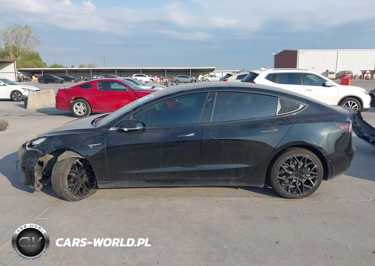 2020 Tesla Model 3 Standard Range Plus Rear-Wheel Drive-Standard Range Rear-Wheel Drive VIN:5YJ3E1EAXLF590817 - 14