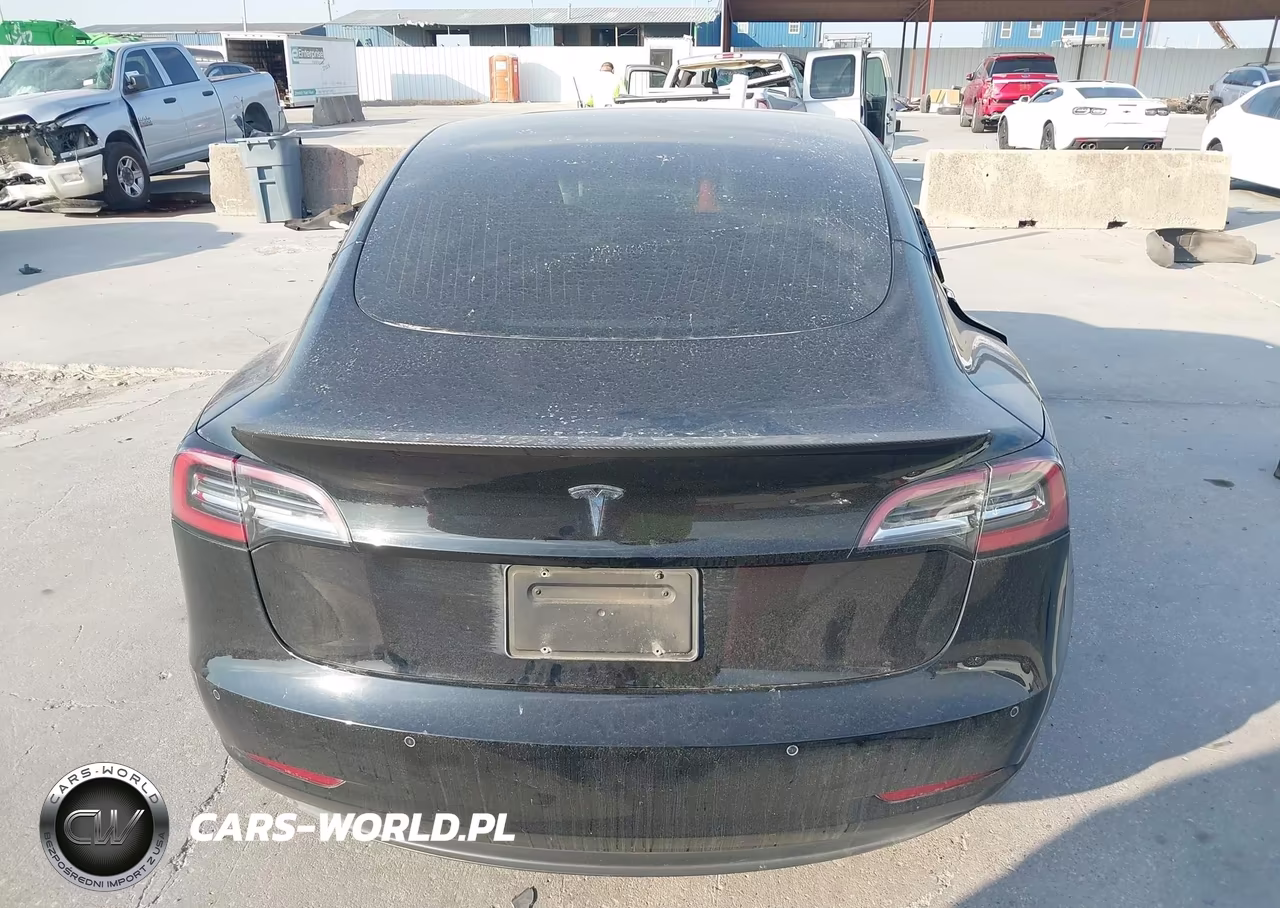 2020 Tesla Model 3 Standard Range Plus Rear-Wheel Drive-Standard Range Rear-Wheel Drive VIN:5YJ3E1EAXLF590817 - 16