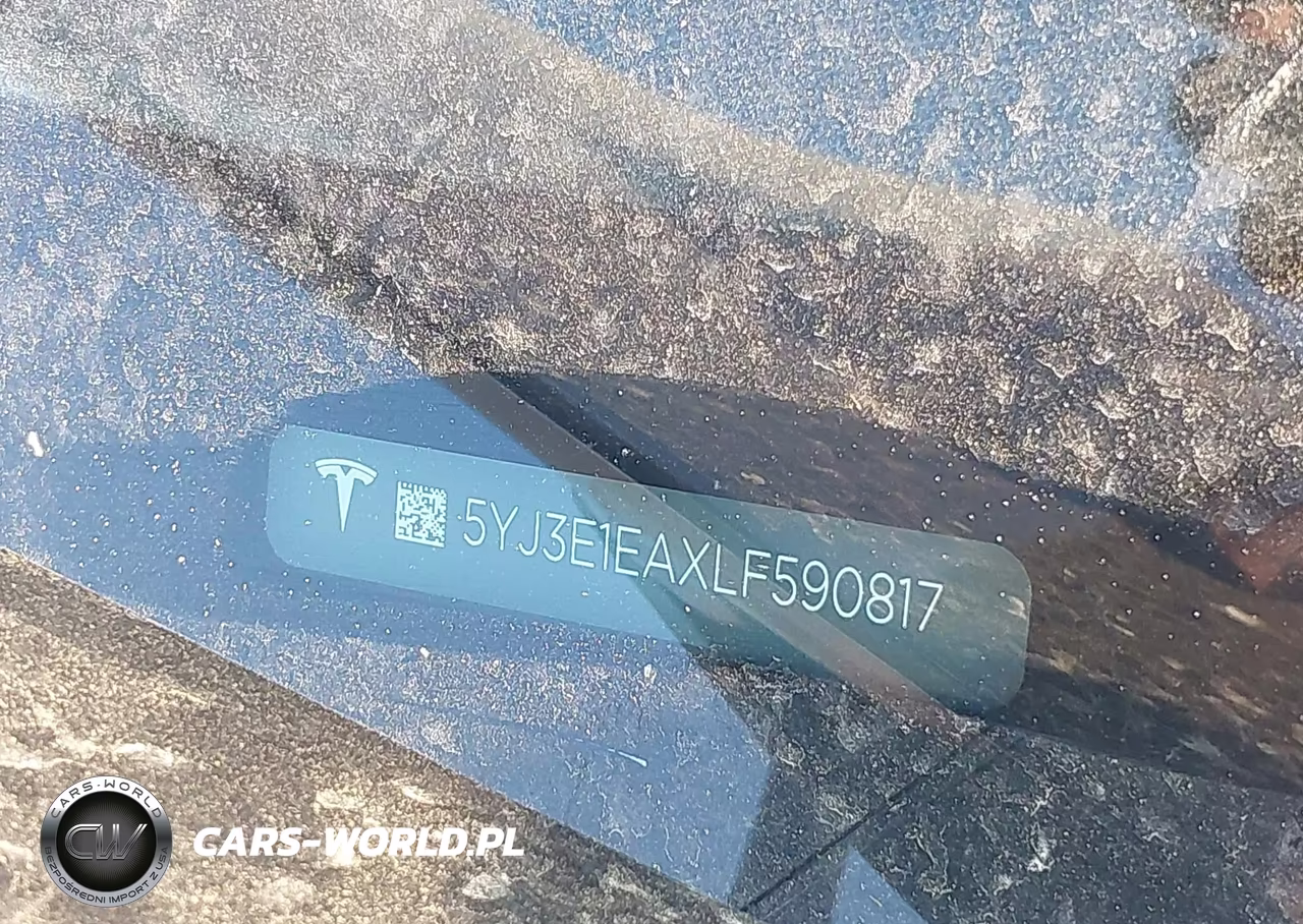 2020 Tesla Model 3 Standard Range Plus Rear-Wheel Drive-Standard Range Rear-Wheel Drive VIN:5YJ3E1EAXLF590817 - 19