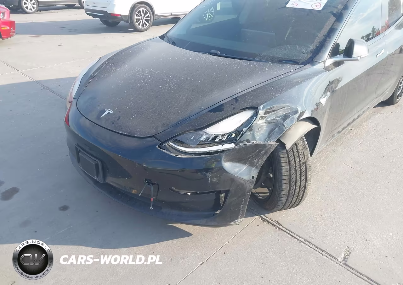 2020 Tesla Model 3 Standard Range Plus Rear-Wheel Drive-Standard Range Rear-Wheel Drive VIN:5YJ3E1EAXLF590817 - 6