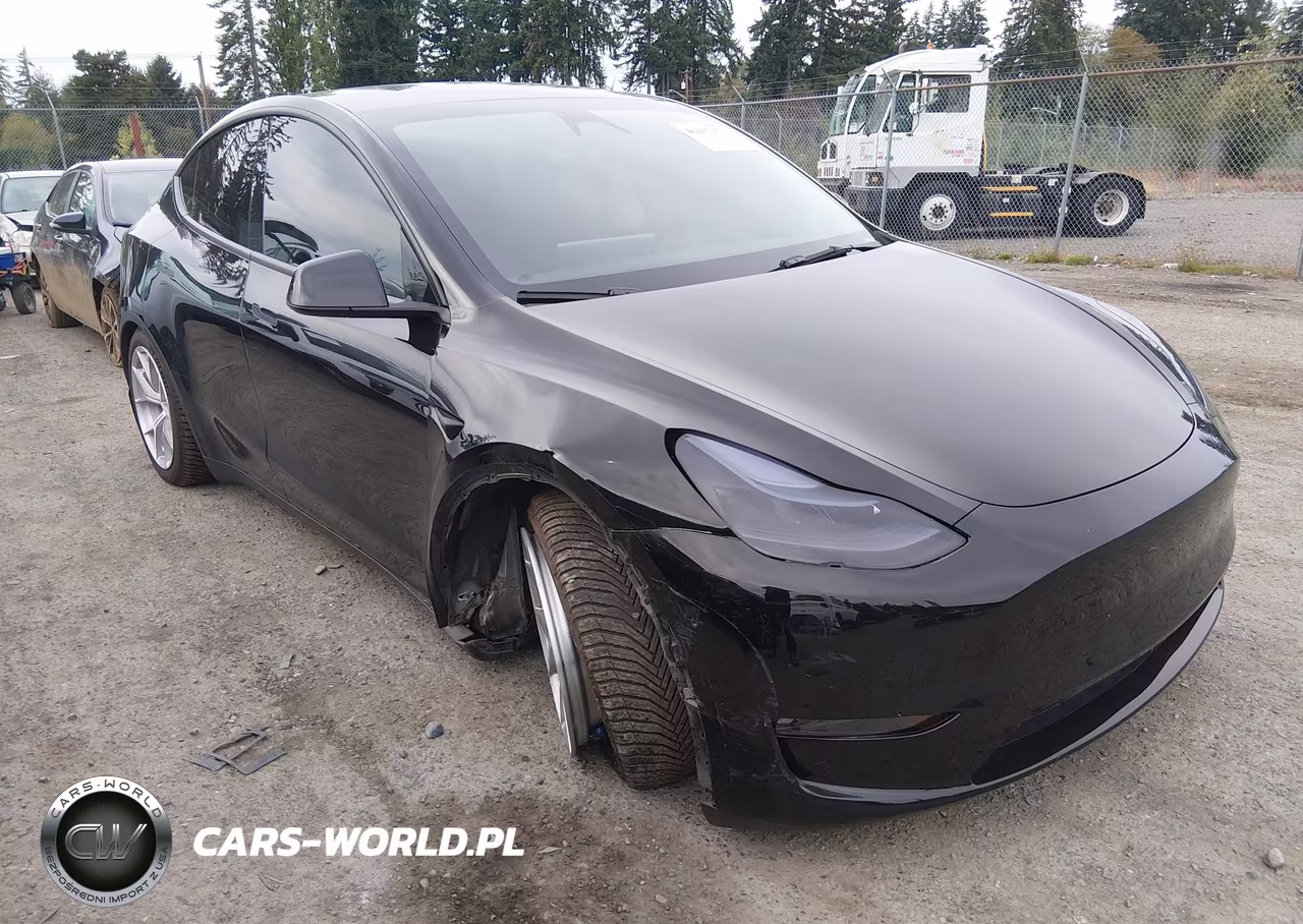 2024 Tesla Model Y Performance Dual Motor All-Wheel Drive VIN:7SAYGDEF6RF053337 - 1