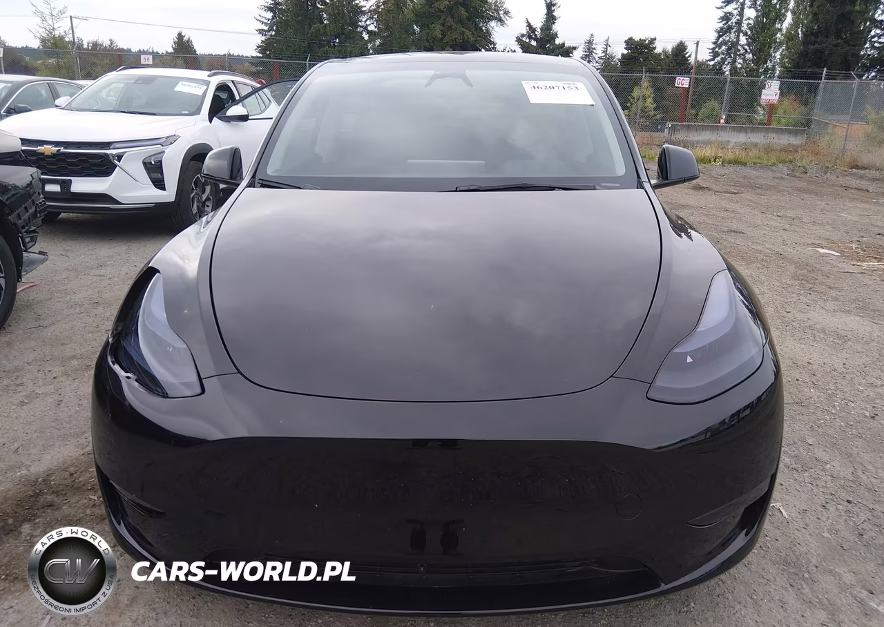 2024 Tesla Model Y Performance Dual Motor All-Wheel Drive VIN:7SAYGDEF6RF053337 - 12