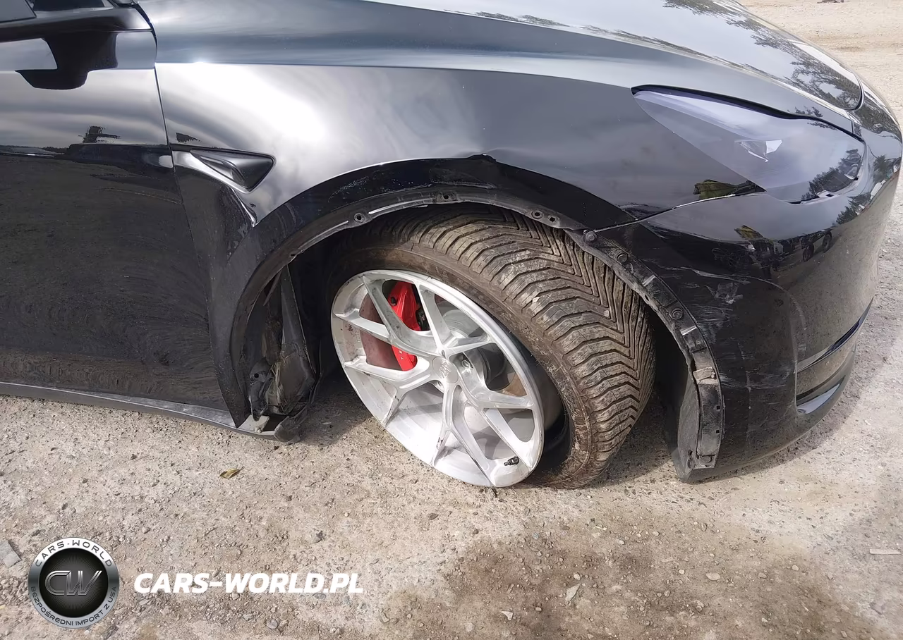 2024 Tesla Model Y Performance Dual Motor All-Wheel Drive VIN:7SAYGDEF6RF053337 - 6