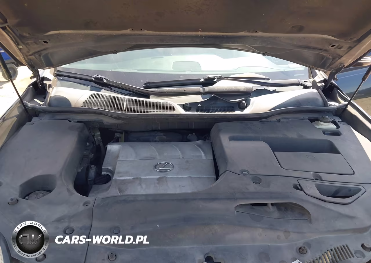2010 Lexus Rx 350 VIN:2T2ZK1BA6AC017059 - 10