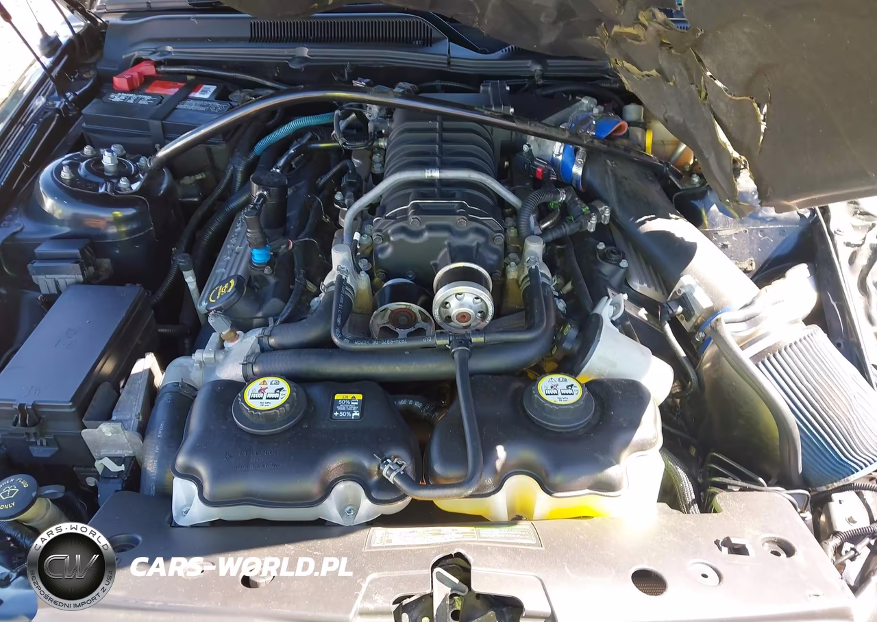 2007 Ford Shelby Gt500 VIN:1ZVHT88S975343916 - 10