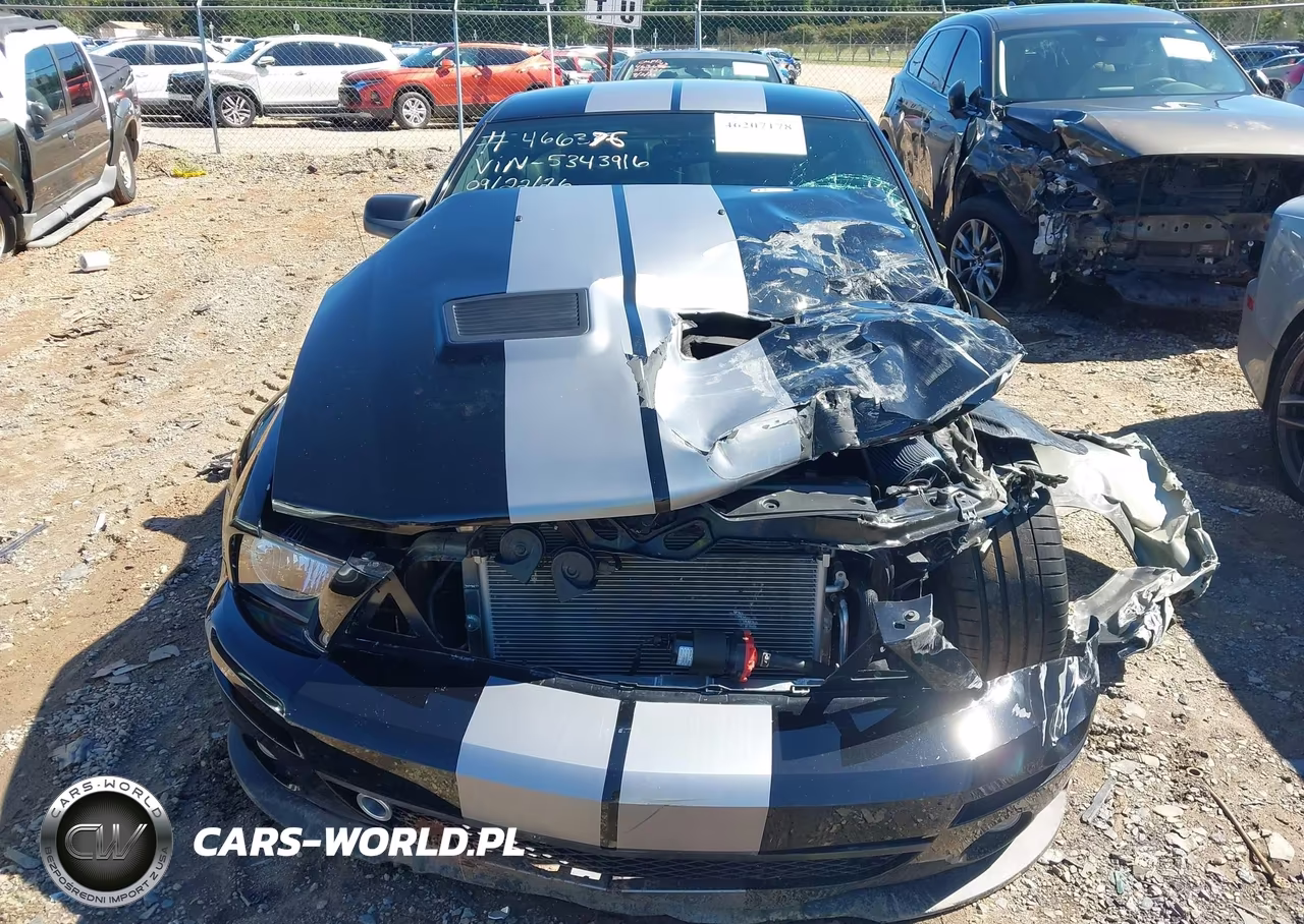 2007 Ford Shelby Gt500 VIN:1ZVHT88S975343916 - 12