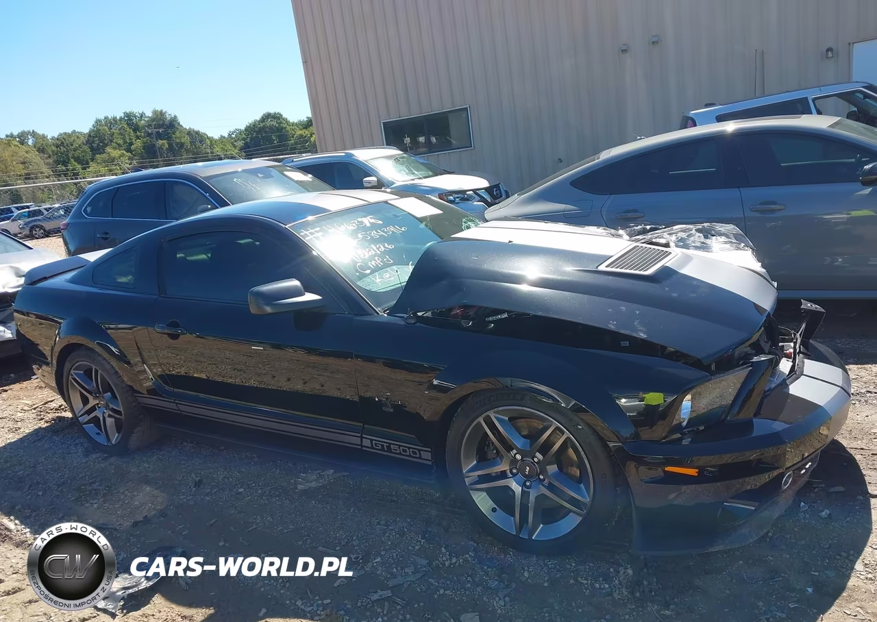 2007 Ford Shelby Gt500 VIN:1ZVHT88S975343916 - 13