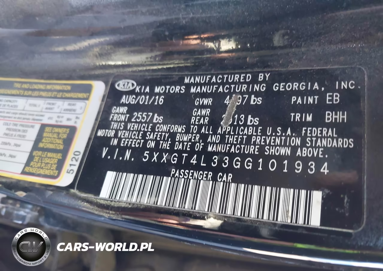 KIA OPTIMA LX VIN:5XXGT4L33GG101934 - 9
