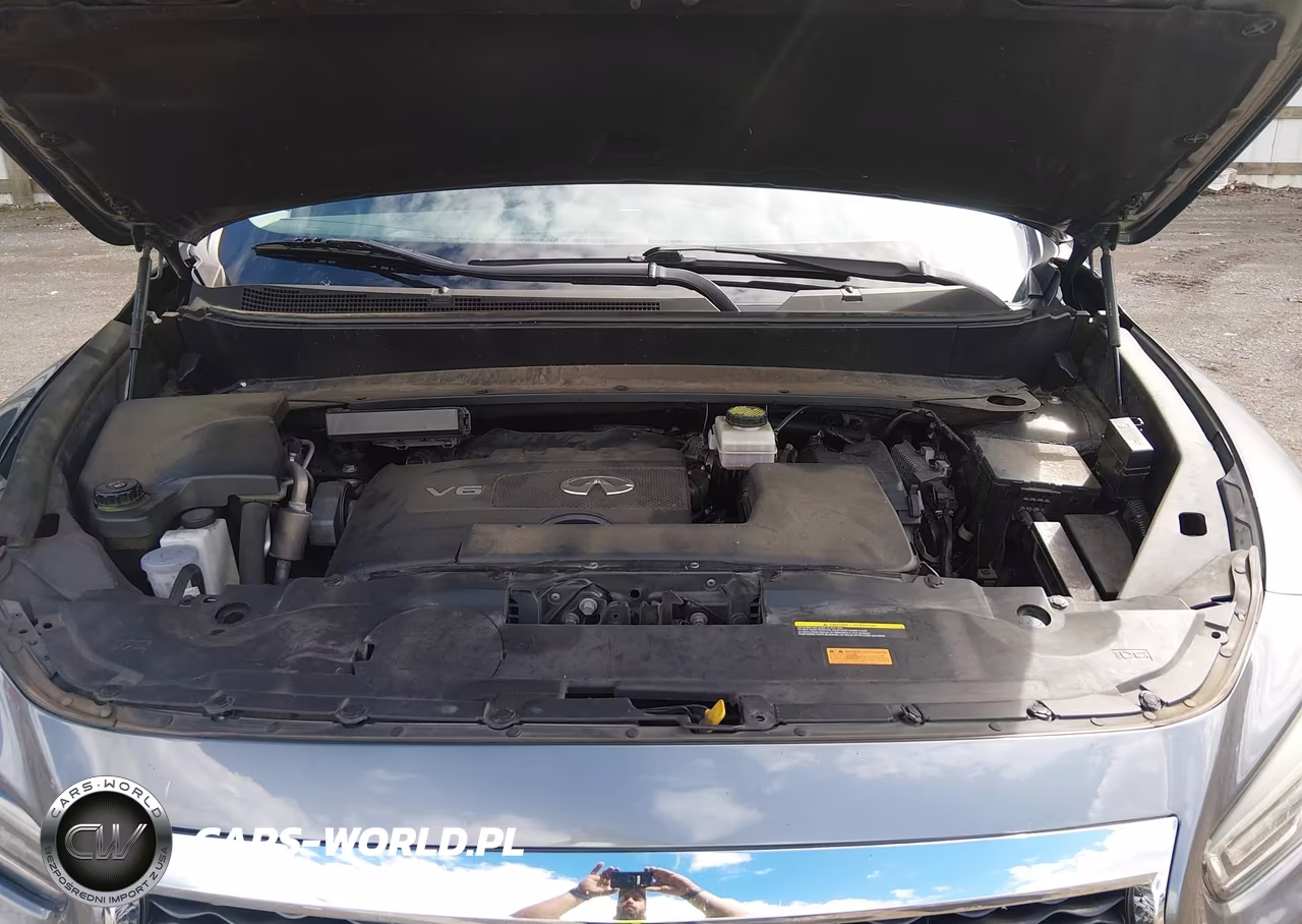 2019 Infiniti Qx60 Luxe VIN:5N1DL0MN8KC554527 - 10
