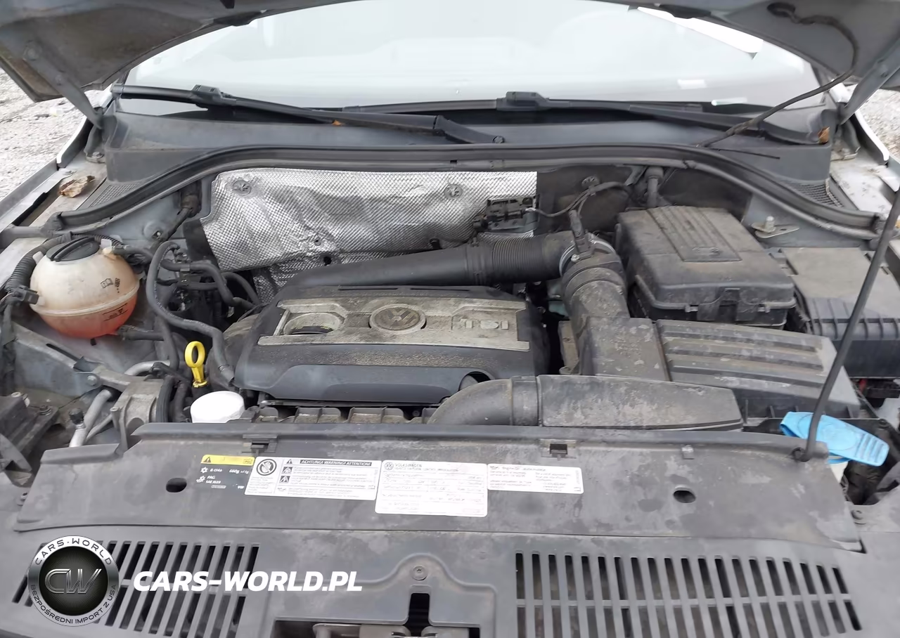 2016 Volkswagen Tiguan S VIN:WVGAV7AX0GW545743 - 10
