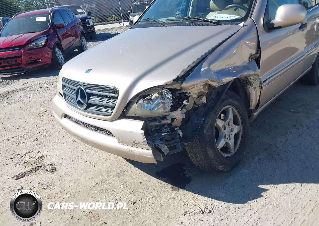 2001 Mercedes-Benz Ml 320 VIN:4JGAB54E91A239622 - 12