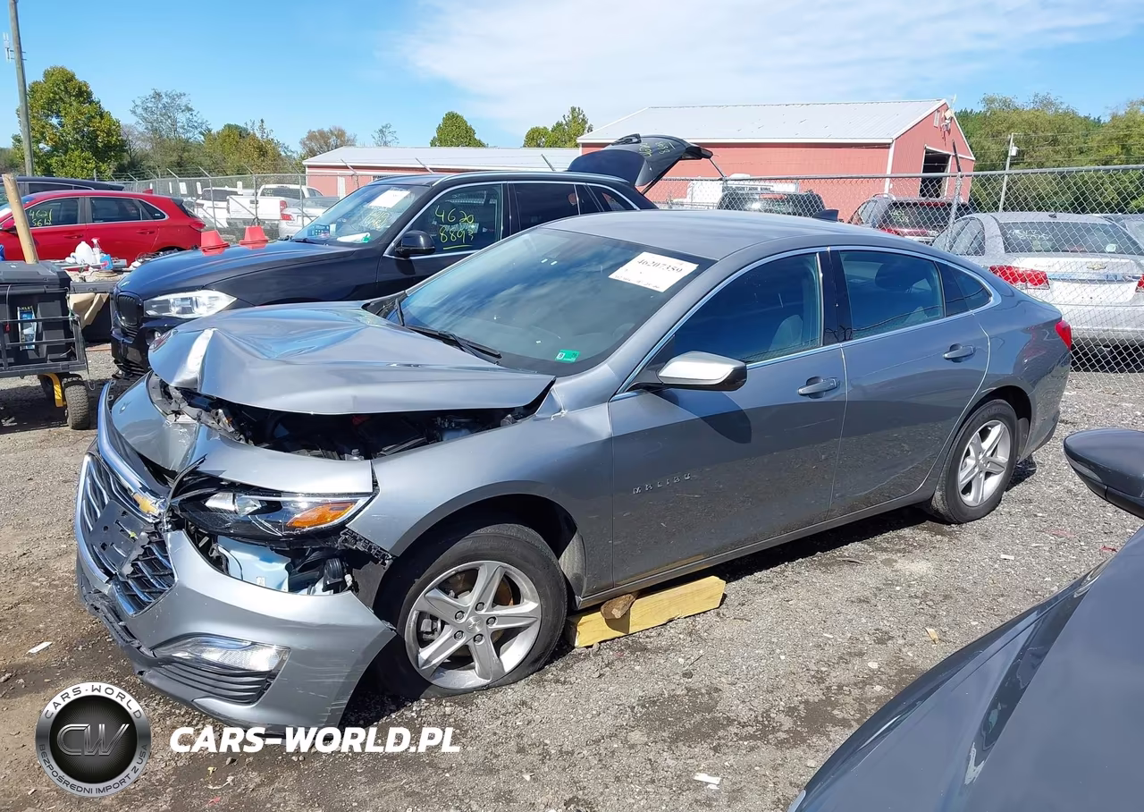 2024 Chevrolet Malibu Fwd Ls VIN:1G1ZB5ST8RF141892 - 14
