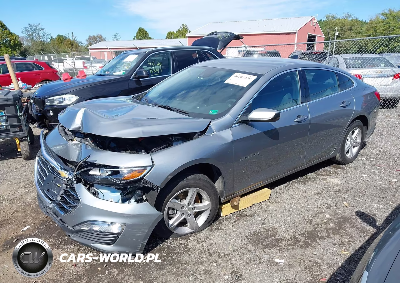 2024 Chevrolet Malibu Fwd Ls VIN:1G1ZB5ST8RF141892 - 2