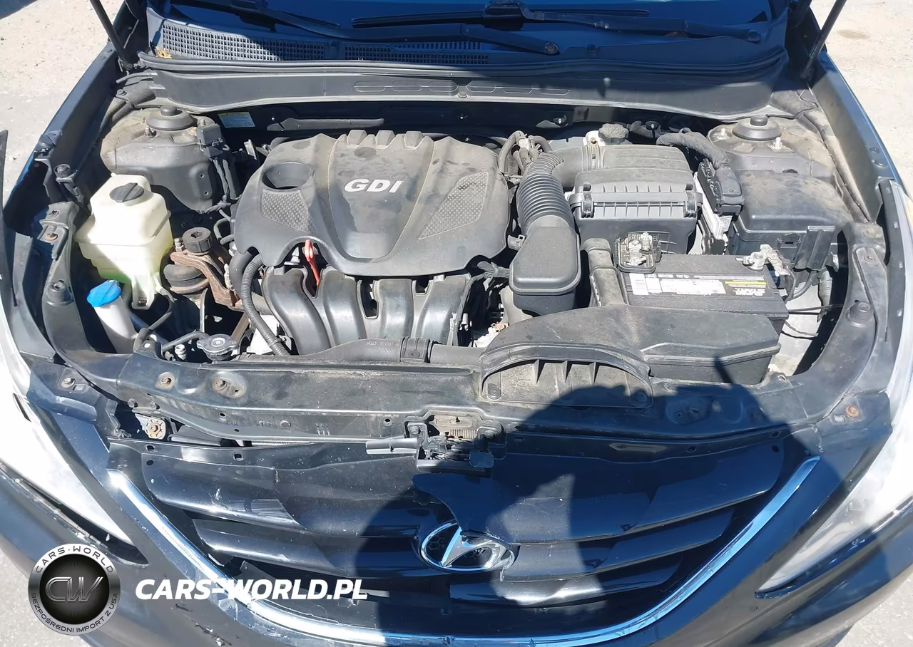 2011 Hyundai Sonata Gls VIN:5NPEB4AC9BH023475 - 10